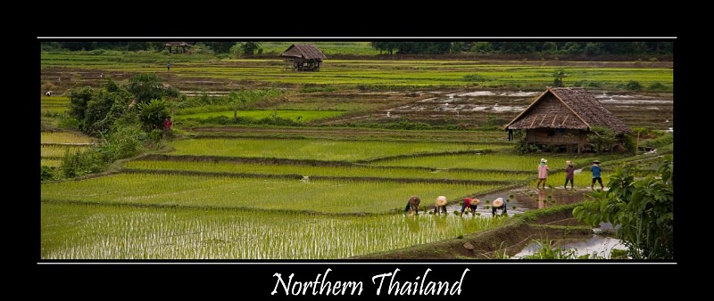 Northern Thailand.jpg